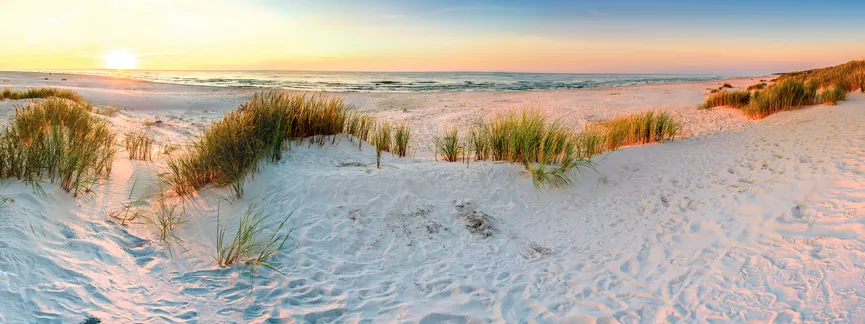 Strand - Dünenlandschaft hauptaufnahme