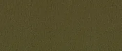 Olive material_farbe