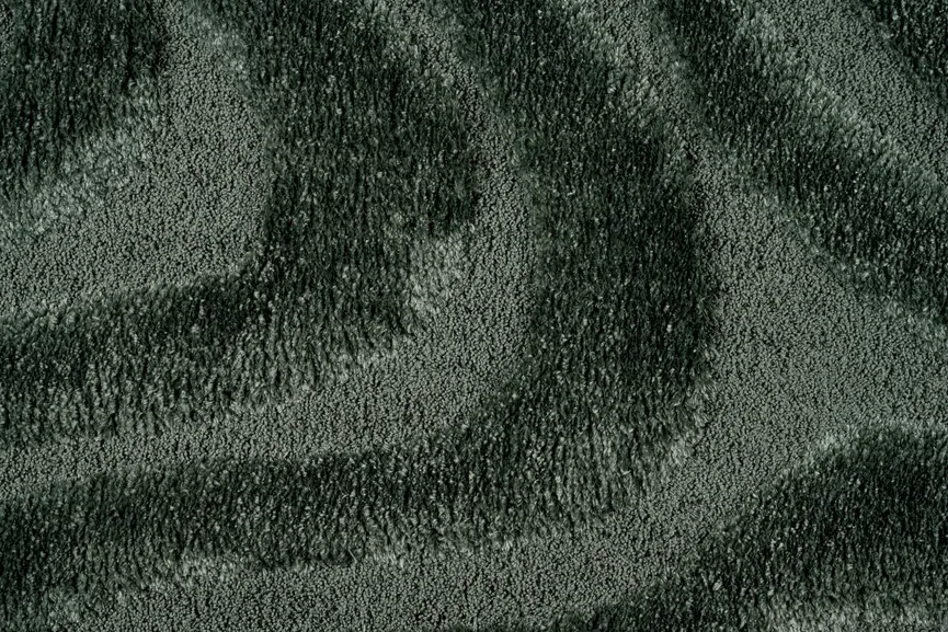 Limba Forms detail