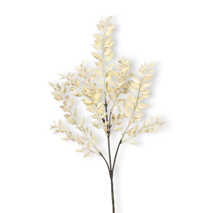 Zweig "Ruscus" creme hauptaufnahme