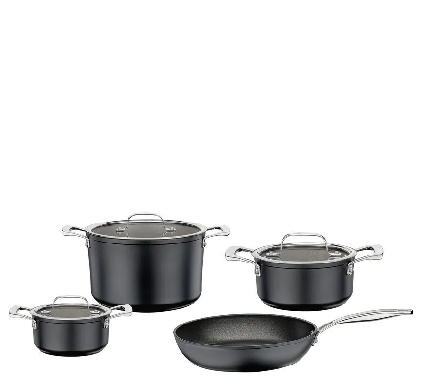 Topfset Meridian Intense Pro 4 hauptaufnahme