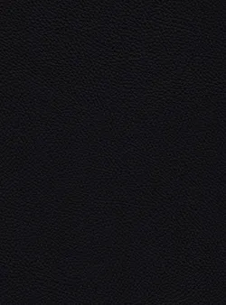 Schwarz material_farbe