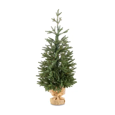 Weihnachtsbaum