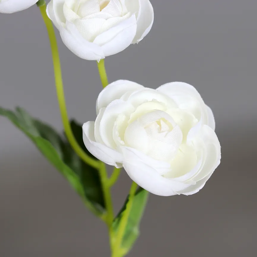Ranunkel-Pick creme detail