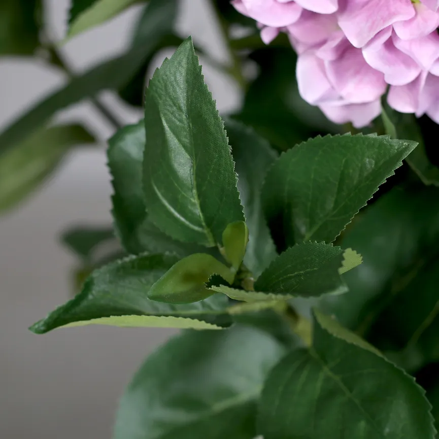 Premium Hortensien-Arrangement detail
