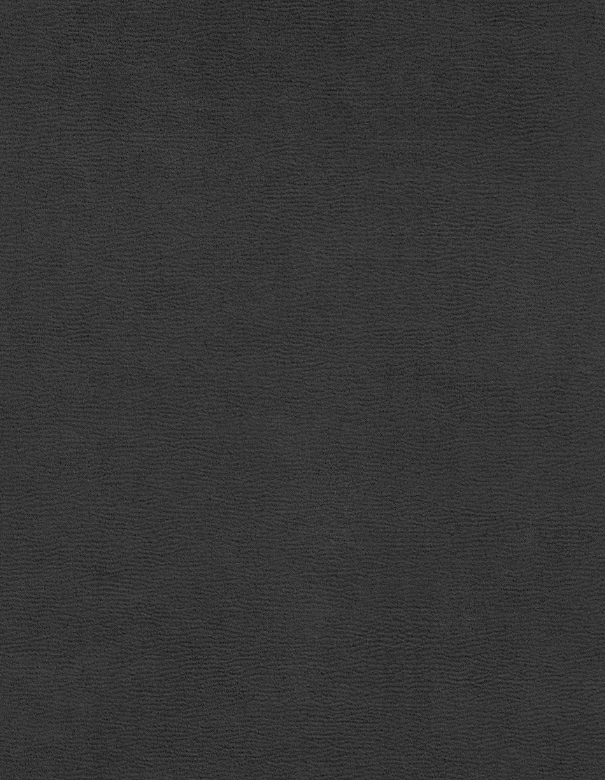 Schlafsofa 1182 material_farbe