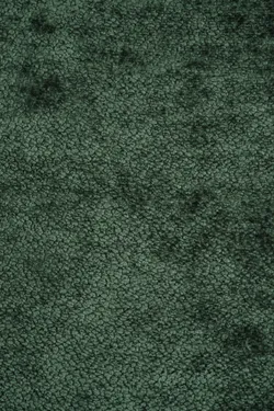 Forest material_farbe