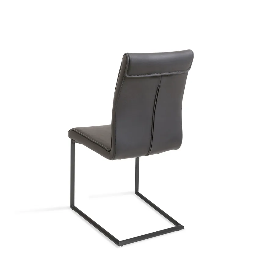 Schwinger 421 detail