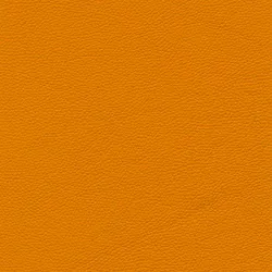 Senape material_farbe