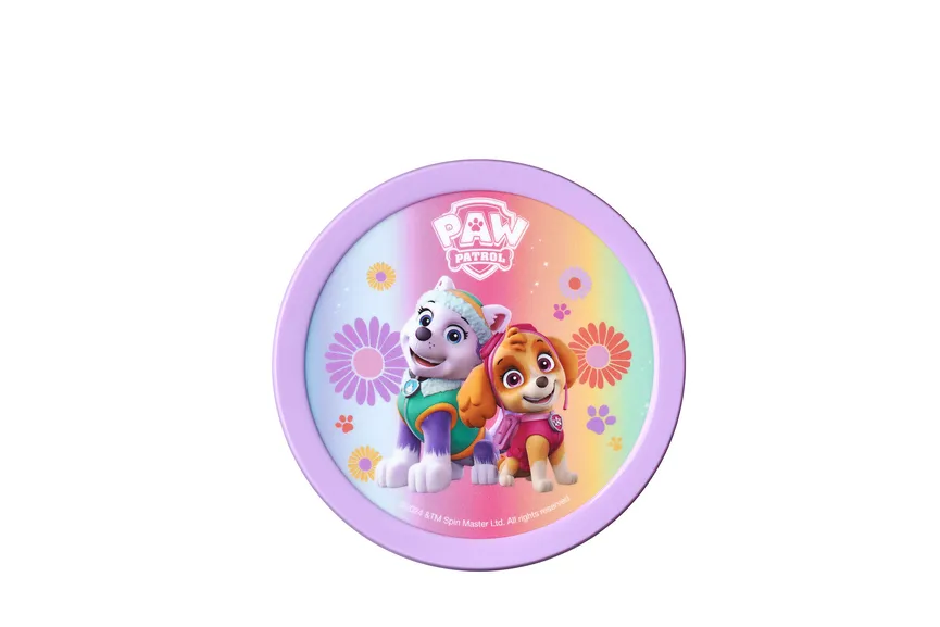 Fruchtbox campus paw patrol detail