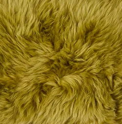 Grün material_farbe