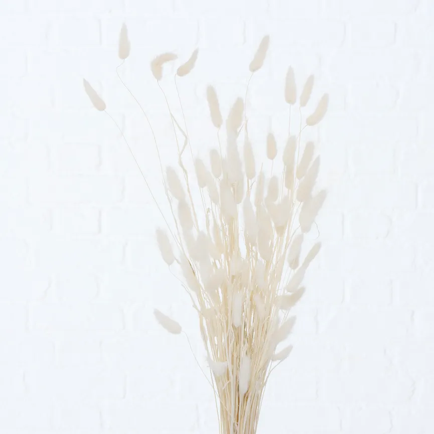 Samtgras weiß-schwarz detail