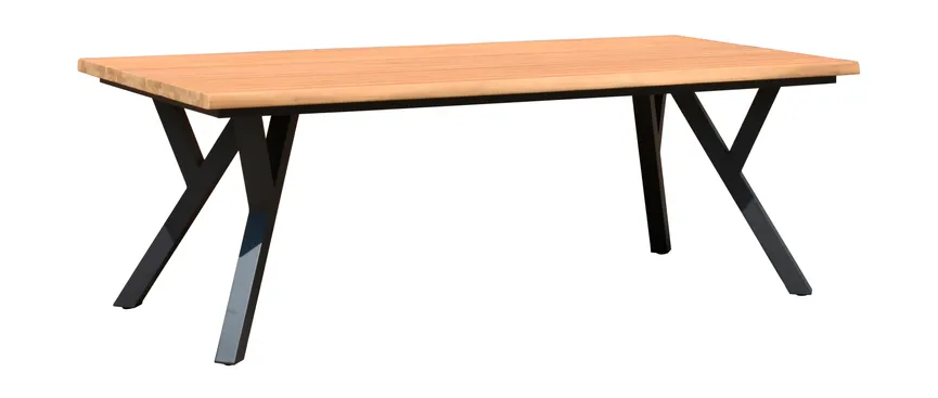 ** Tisch 220x100 cm hauptaufnahme