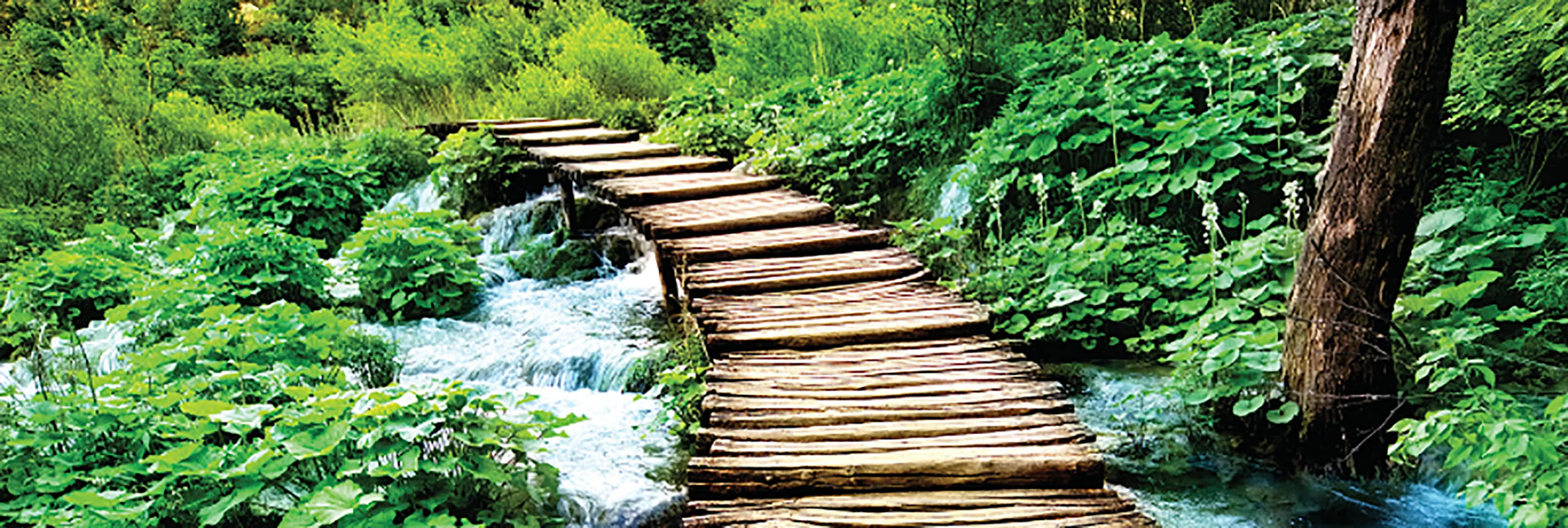 Glasbild 98 x 33 cm Wooden Bridge IV