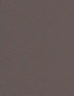 Taupe material_farbe