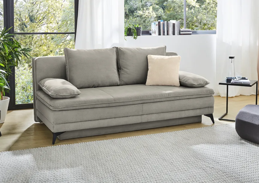Schlafsofa milieu