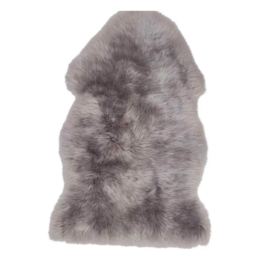 Schaf- hauptaufnahme