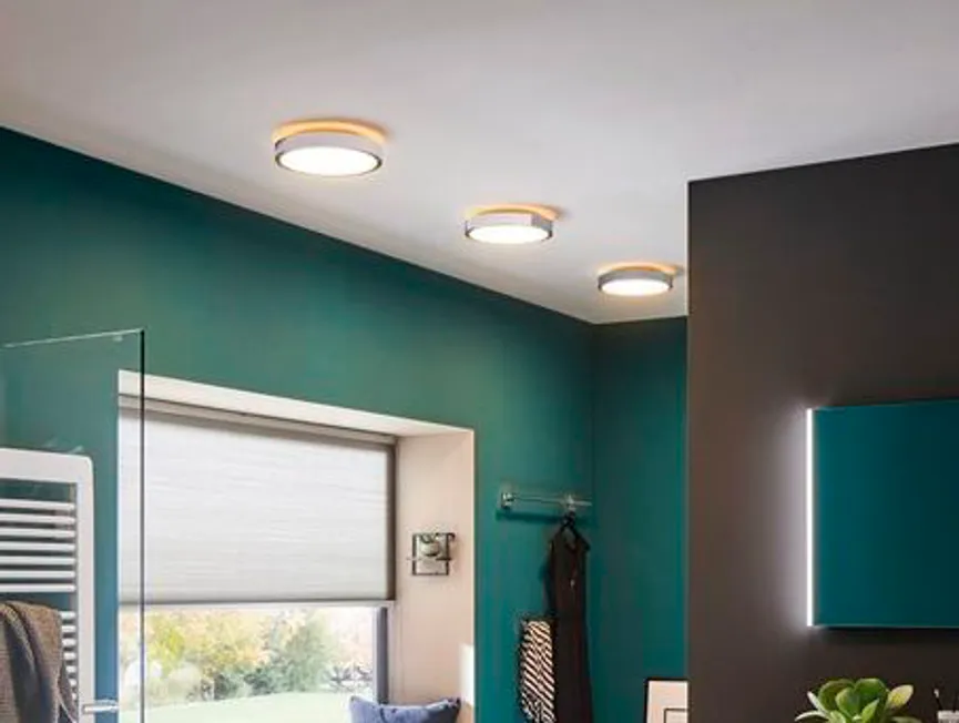 Deckenleuchte "Aviar" milieu