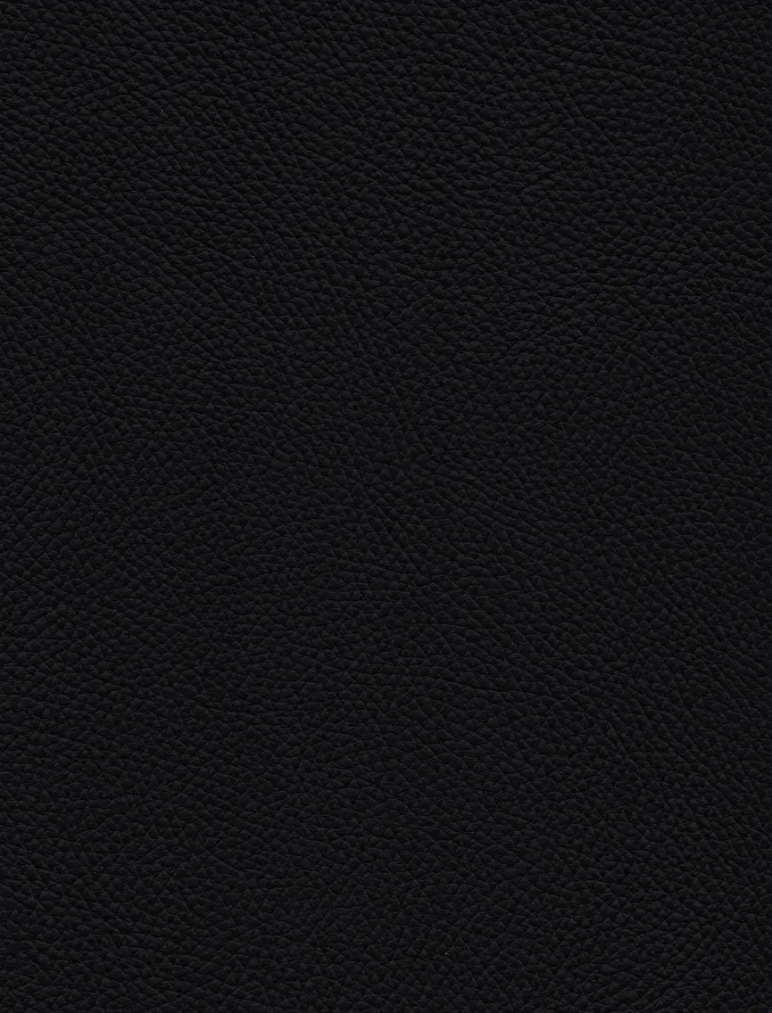 Stuhl fix - D material_farbe