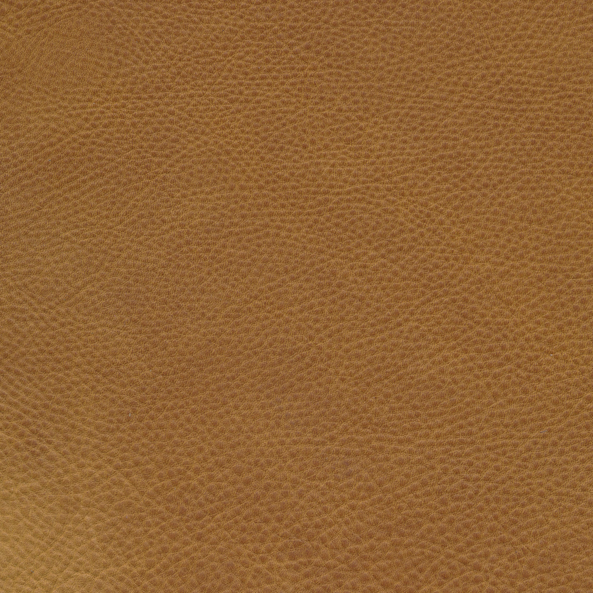 Kopfstütze 75 Rastomat 902375 material_farbe