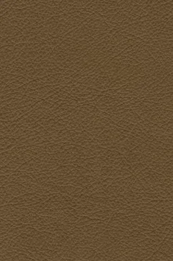 Moosgrün material_farbe