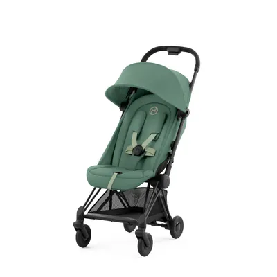 Buggy