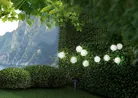 milieu