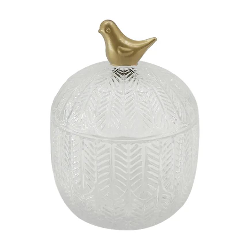 Dose "Birdy" M transparent hauptaufnahme