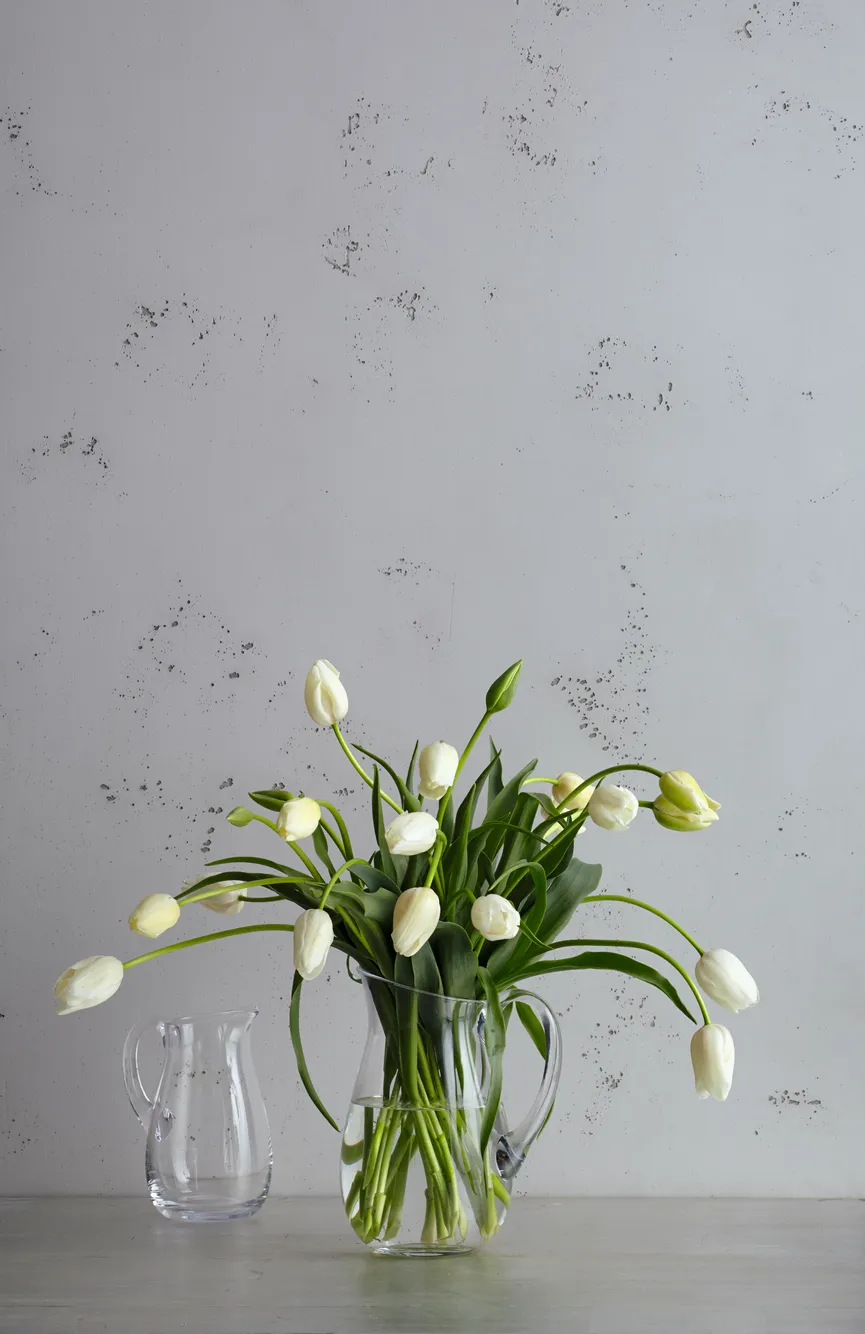 Krug "Giardino" 1 Liter milieu