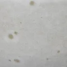material_farbe