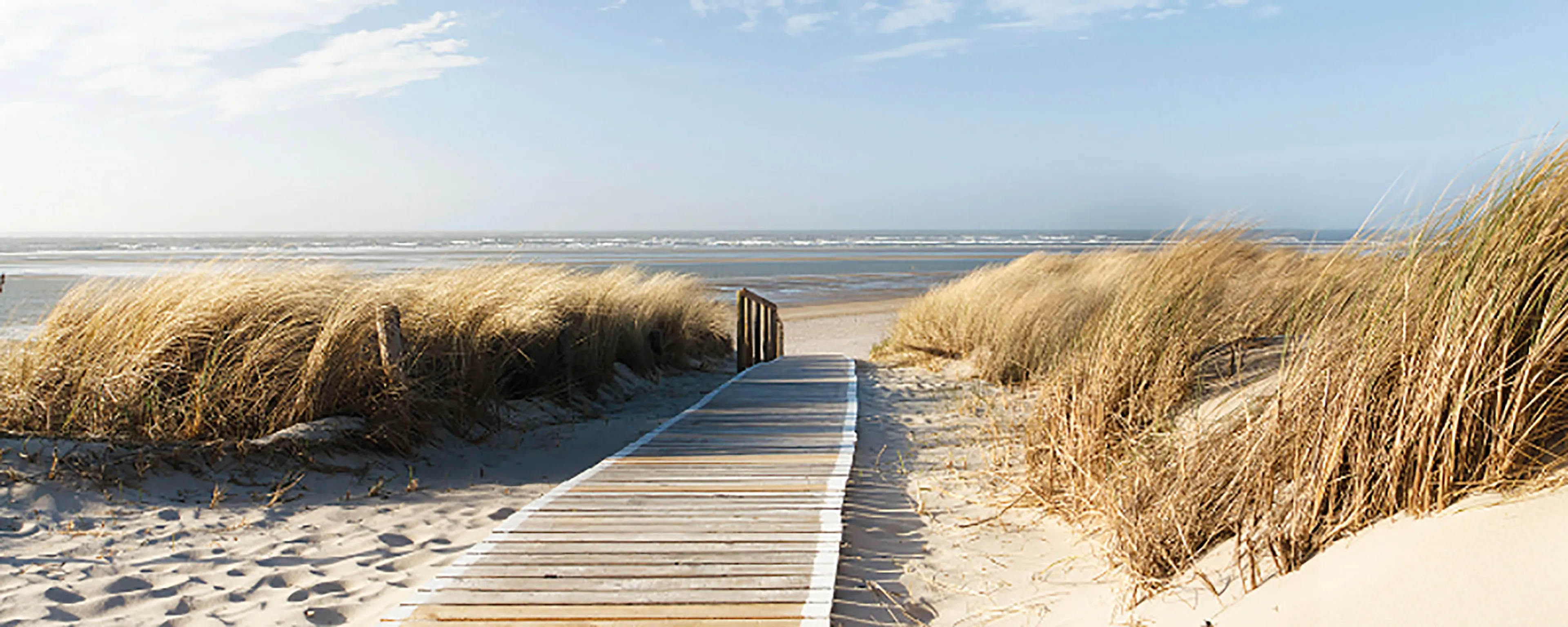 Glasbild 125 x 50 cm Through the Dunes III