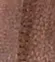 FARBE