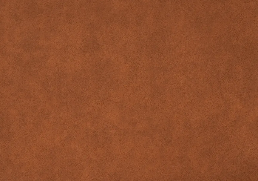 Fernsehsessel material_farbe