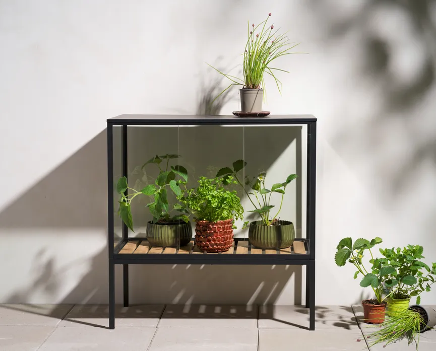 Pflanzenschrank 82x81 cm milieu