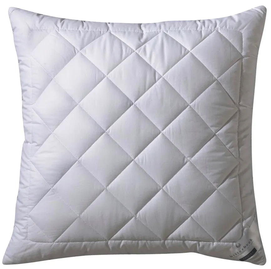 Kissen  Silver F. hauptaufnahme
