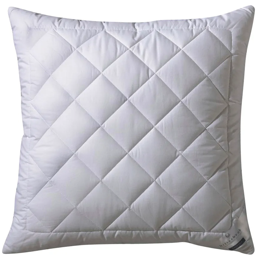 Kissen  Silver F. hauptaufnahme