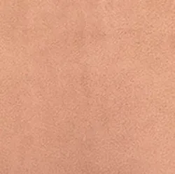 Camel material_farbe