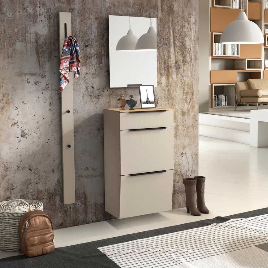 Hänge-Schuhschrank milieu