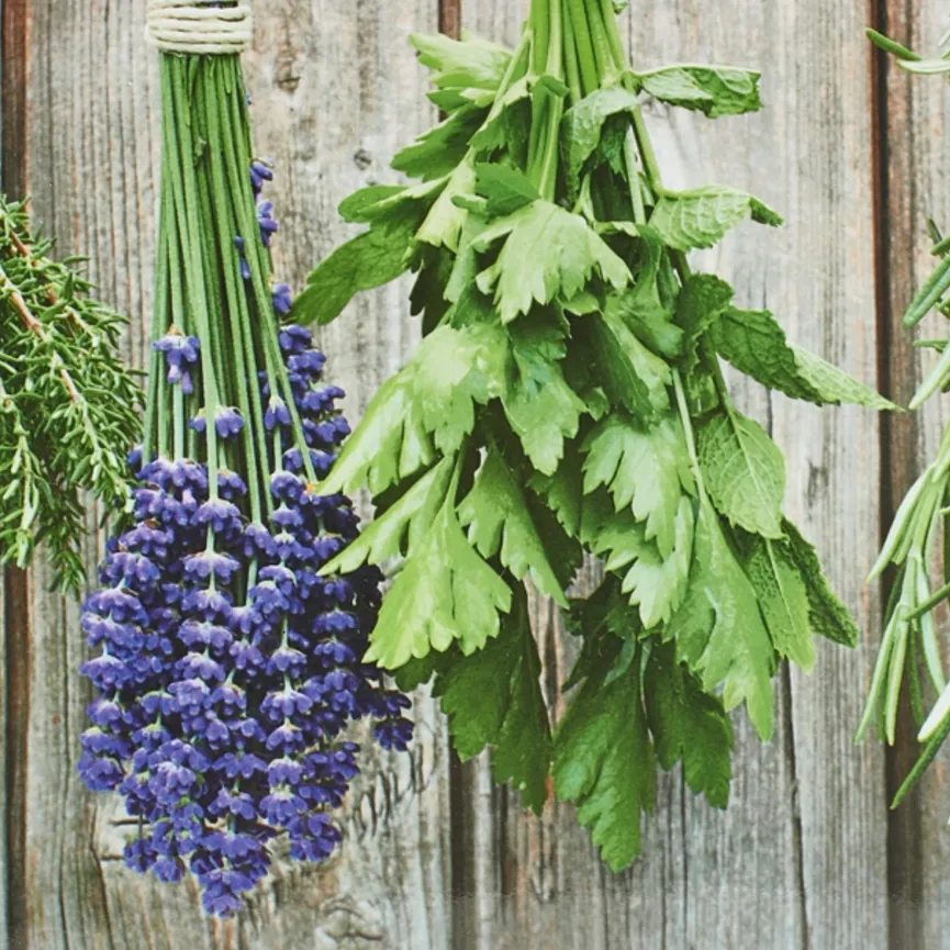 Tablett Kräuter Melamin material_farbe