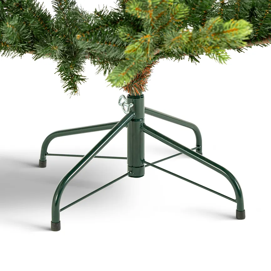 Tannenbaum S detail