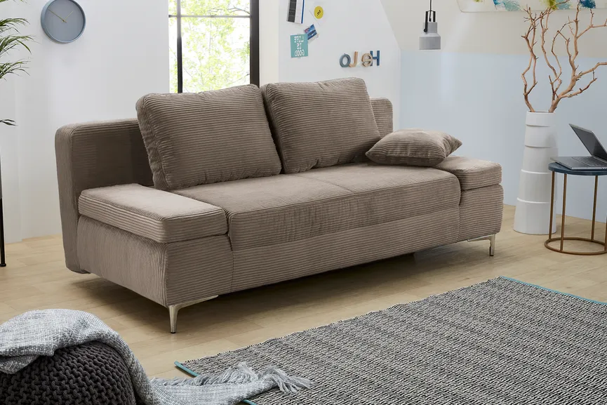 Schlafsofa milieu