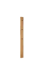 hauptaufnahme