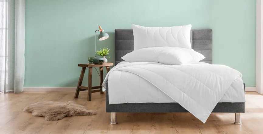 Ganzjahresbett Regeneration milieu