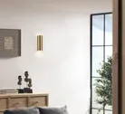 milieu