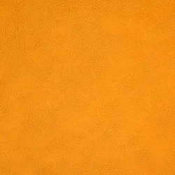 Curry material_farbe