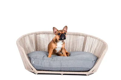 Hundesofa VOGUE