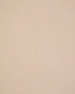 Beige material_farbe