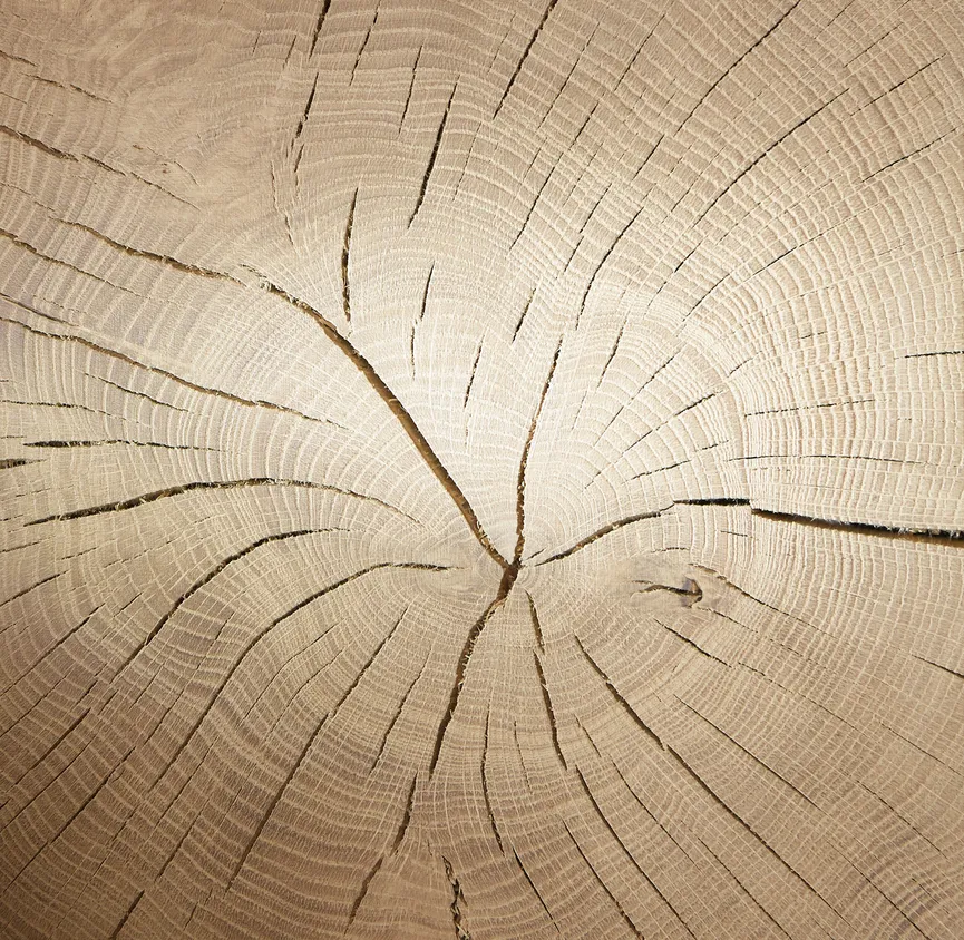 Wohnwand detail