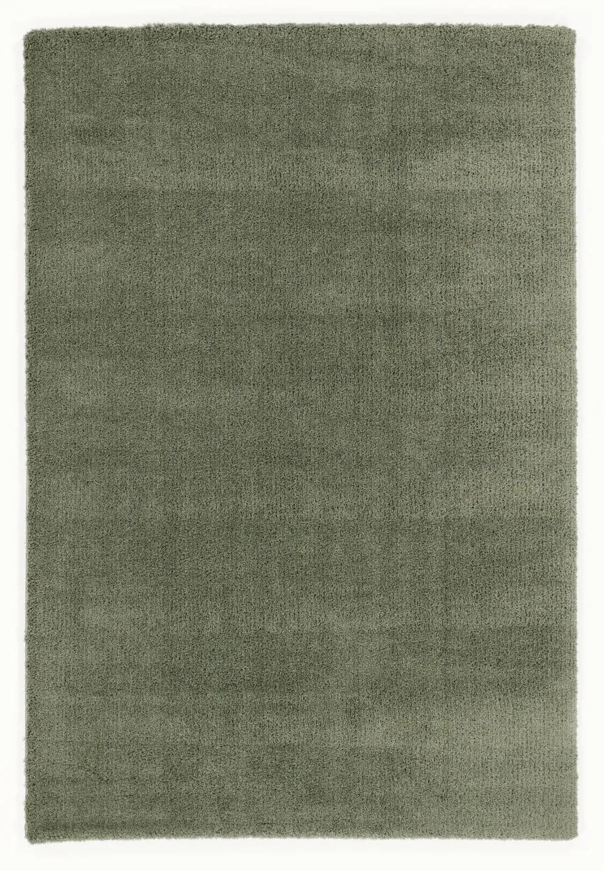 Premio hauptaufnahme