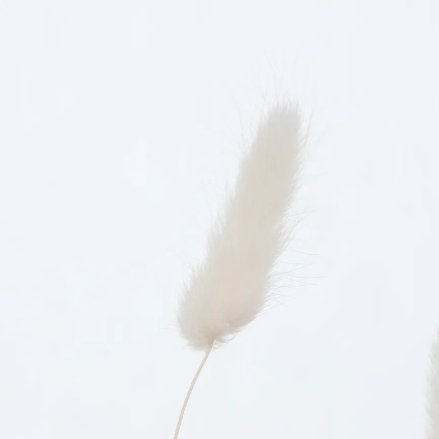 Samtgras weiß-schwarz detail